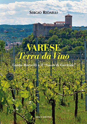 Varese terra da vino. Guido Morselli e il «Sasso di Gavirate» Varese terra da vino. Guido Morselli e il «Sasso di Gavirate» von Macchione Editore