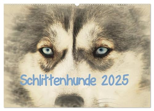 Schlittenhunde 2025 (Wandkalender 2025 DIN A2 quer), CALVENDO Monatskalender: Der Kalender ist im kunstvollen Aquarell-Stil gehalten, so dass jedes ... kleinen Kunstwerk gleicht. (CALVENDO Tiere) von CALVENDO