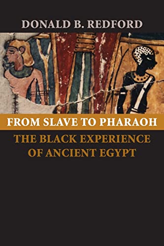 From Slave to Pharaoh: The Black Experience of Ancient Egypt von Johns Hopkins University Press