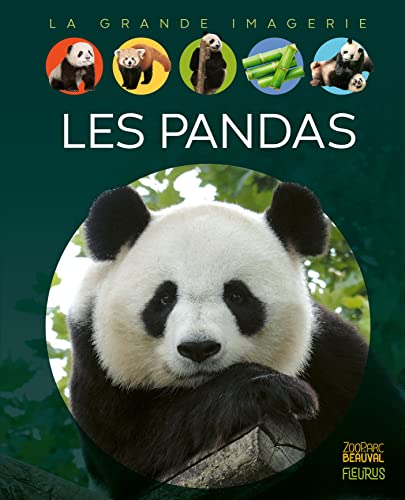 Les pandas von FLEURUS