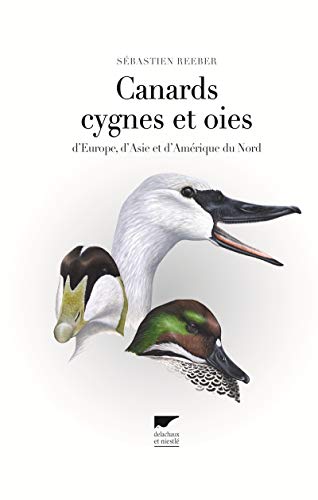 Canards, cygnes et oies: d'Europe, d'Asie et d'Amérique du Nord von DELACHAUX et NIESTLE