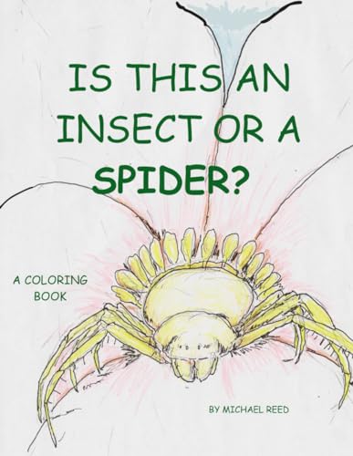 Is This an Insect or a Spider: A Coloring Book von Independently published