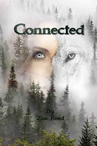 Connected (In Spirit and Truth, Band 4) von CREATESPACE