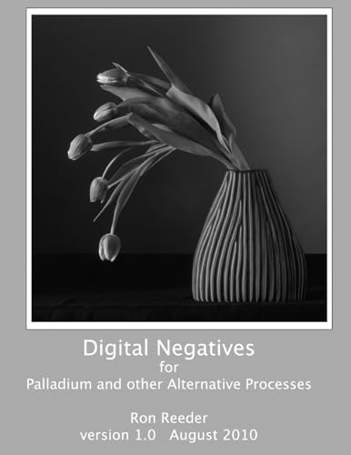 Digital Negatives for palladium and other alternative processes von Lulu.com