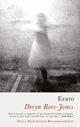 Erato von Seren Books