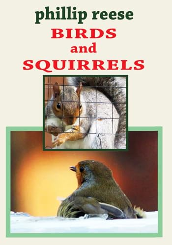 BIRDS and SQUIRRELS von Nielson UK ISBN Store