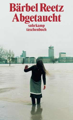 Abgetaucht: Geschichten (suhrkamp taschenbuch)