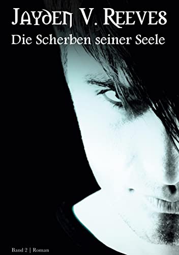 Die Scherben seiner Seele: Band 2 von Rediroma-Verlag