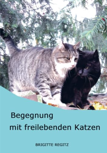 Begegnung mit freilebenden Katzen: Porträts freilebender Katzen: Porträts freilebender Katzen.DE Begegnung mit freilebenden Katzen: Porträts freilebender Katzen: Porträts freilebender Katzen.DE