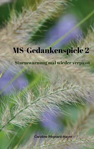 MS-Gedankenspiele 2: Sturmwarnung mal wieder verpasst von Books on Demand