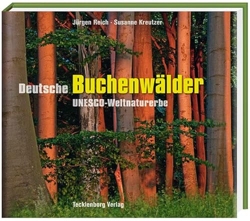 Deutsche Buchenwälder: UNESCO-Weltnaturerbe