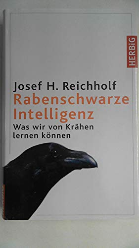 Rabenschwarze Intelligenz: Was wir von Krähen lernen können Rabenschwarze Intelligenz: Was wir von Krähen lernen können