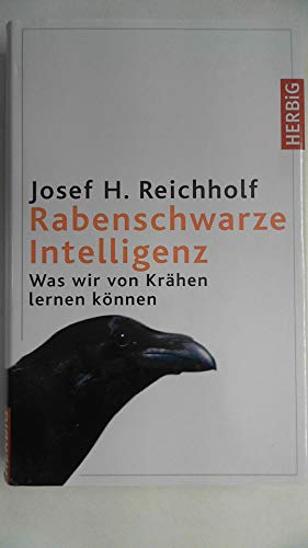 Rabenschwarze Intelligenz: Was wir von Krähen lernen können