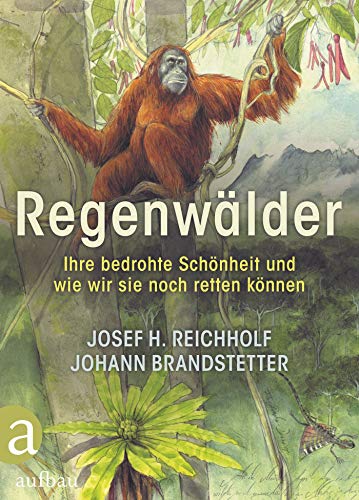 Regenwälder: Ihre bedrohte Schönheit und wie wir sie noch retten können Regenwälder: Ihre bedrohte Schönheit und wie wir sie noch retten können