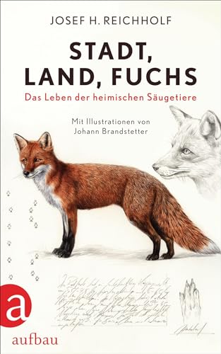 Stadt, Land, Fuchs: Das Leben der heimischen Säugetiere von Aufbau