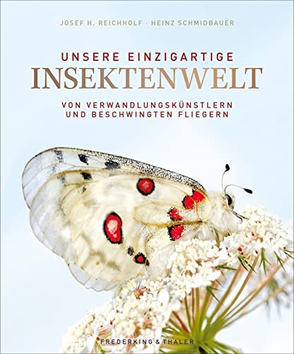 Bildband: Unsere einzigartige Insektenwelt: Von Verwandlungskünstlern und beschwingten Fliegern. Ein opulenter Bildband über die Vielfalt und Schönheit einer schützenswerten Art.