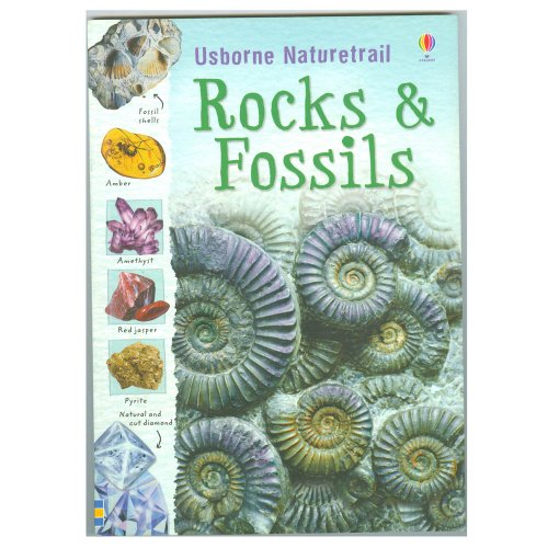 Rocks and Fossils: 1 (Naturetrail) von Usborne
