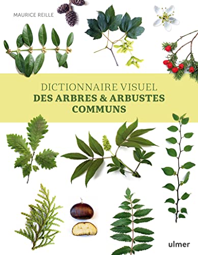 Dictionnaire visuel des arbres et arbustes communs von ULMER