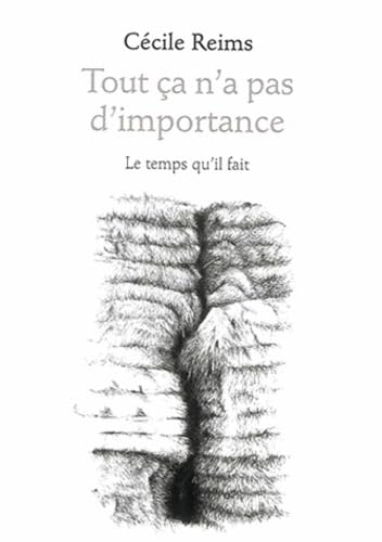 Tout ça n'a pas d'importance: Le temps qu'il fait von TEMPS IL FAIT