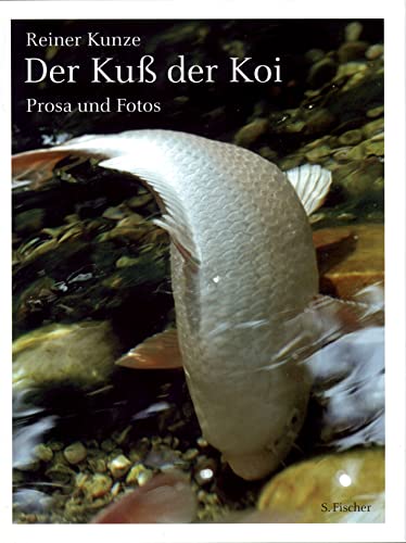 Der Kuß der Koi: Prosa und Photos von FISCHER, S.