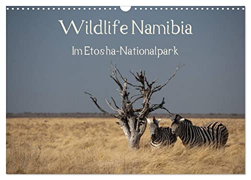 Wildlife Namibia (Wandkalender 2025 DIN A3 quer), CALVENDO Monatskalender von CALVENDO