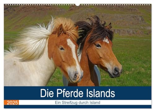 Die Pferde Islands - Ein Streifzug durch Island (Wandkalender 2025 DIN A2 quer), CALVENDO Monatskalender von CALVENDO