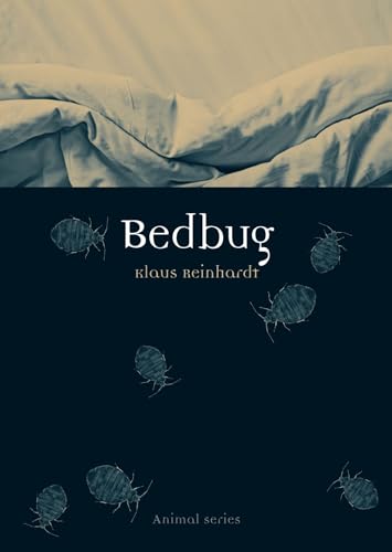 Bedbug (Animal)