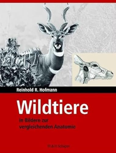 Wildtiere in Bildern zur vergleichenden Anatomie: Schaper Verlag im Vertrieb Schlütersche Wildtiere in Bildern zur vergleichenden Anatomie: Schaper Verlag im Vertrieb Schlütersche