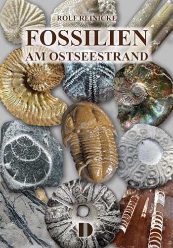 Fossilien am Ostseestrand von Demmler Verlag