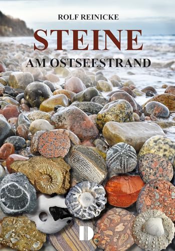 Steine am Ostseestrand von Demmler Verlag GmbH