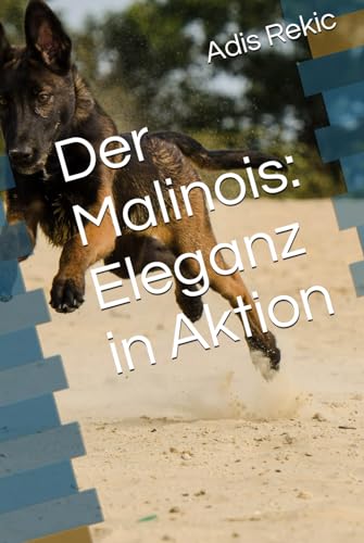 Der Malinois: Eleganz in Aktion