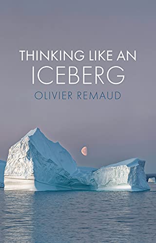 Thinking Like an Iceberg von Polity