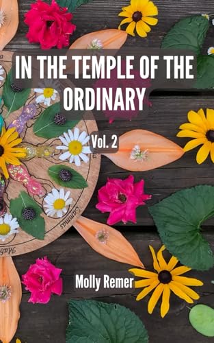 In the Temple of the Ordinary: poems of presence, volume 2 von Independently published