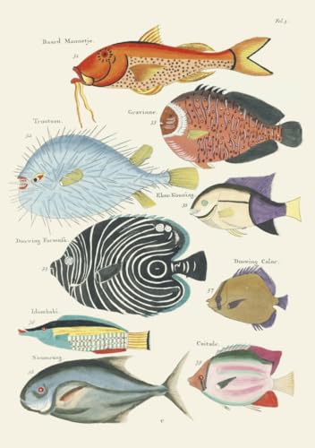 Carnet - Poissons, écrevisses et crabes von RELIEFS