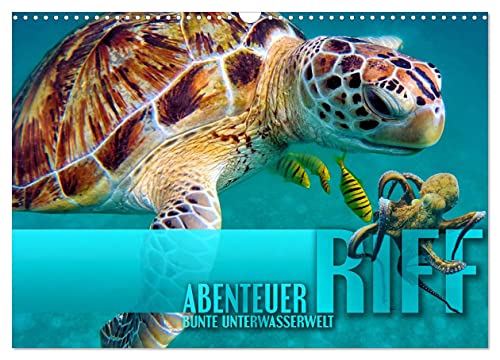 Abenteuer Riff - bunte Unterwasserwelt (Wandkalender 2024 DIN A3 quer), CALVENDO Monatskalender
