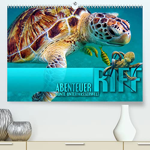 Abenteuer Riff - bunte Unterwasserwelt (hochwertiger Premium Wandkalender 2024 DIN A2 quer), Kunstdruck in Hochglanz