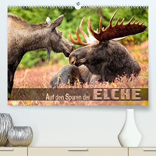 Auf den Spuren der Elche (hochwertiger Premium Wandkalender 2024 DIN A2 quer), Kunstdruck in Hochglanz