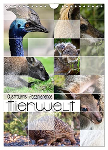 Australiens faszinierende Tierwelt (Wandkalender 2024 DIN A4 hoch), CALVENDO Monatskalender von CALVENDO