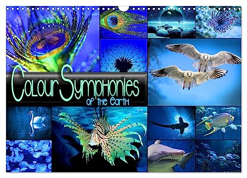 Colour Symphonies of the Earth (Wandkalender 2025 DIN A3 quer), CALVENDO Monatskalender von CALVENDO