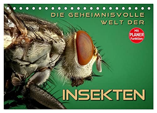 Die geheimnisvolle Welt der Insekten (Tischkalender 2024 DIN A5 quer), CALVENDO Monatskalender von CALVENDO