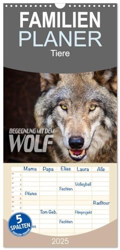 Familienplaner 2025 - Begegnung mit dem Wolf mit 5 Spalten (Wandkalender, 21 cm x 45 cm), CALVENDO von CALVENDO