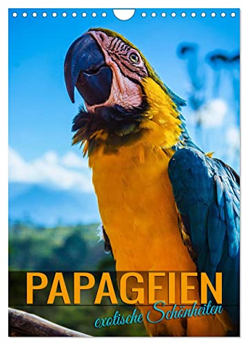 Papageien - exotische Schönheiten (Wandkalender 2024 DIN A4 hoch), CALVENDO Monatskalender von CALVENDO