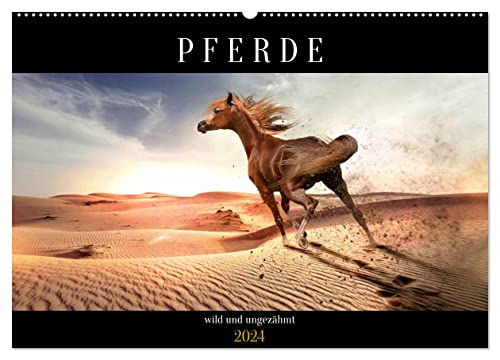 Pferde - wild und ungezähmt (Wandkalender 2024 DIN A2 quer), CALVENDO Monatskalender