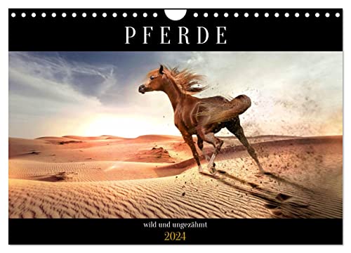 Pferde - wild und ungezähmt (Wandkalender 2024 DIN A4 quer), CALVENDO Monatskalender von CALVENDO