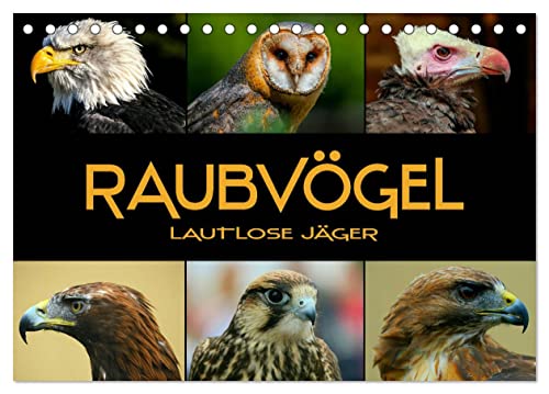 Raubvögel - lautlose Jäger (Tischkalender 2025 DIN A5 quer), CALVENDO Monatskalender von CALVENDO