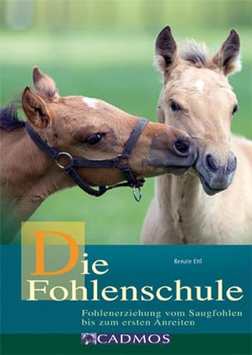 Die Fohlenschule: Fohlenerziehung vom Saugfohlen bis zum ersten Anreiten (Cadmos Pferdebuch) von Cadmos Verlag GmbH
