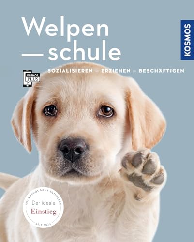 Welpenschule: Sozialisieren, Erziehen, Beschäftigen
