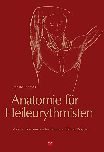 Anatomie für Heileurythmisten: Von der Formensprache des menschlichen Körpers. Herausgegeben von der Stiftung zur Förderung der Heileurythmie durch Hannelore Wetzel. von Info 3 Verlag