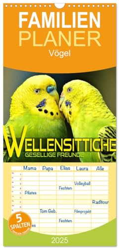Familienplaner 2025 - Wellensittiche - gesellige Freunde mit 5 Spalten (Wandkalender, 21 cm x 45 cm), CALVENDO