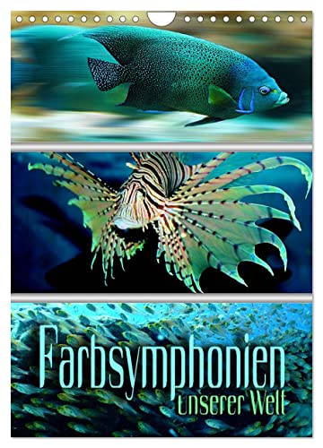 Farbsymphonien unserer Welt (Wandkalender 2025 DIN A4 hoch), CALVENDO Monatskalender